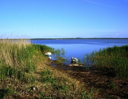 jezioro gardno